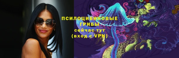 apvp Алзамай