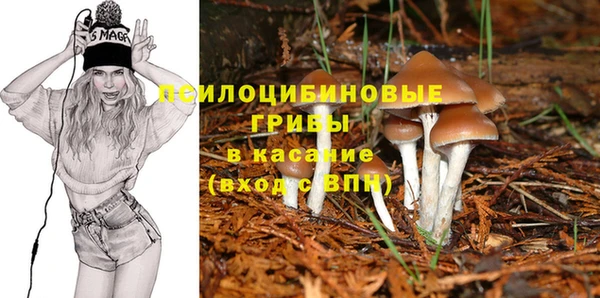 героин Алексин