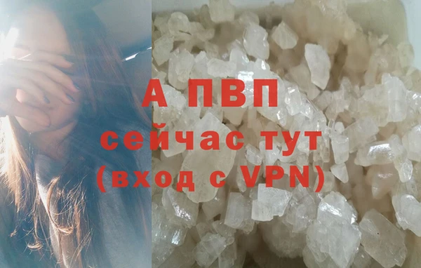 шишки Нязепетровск